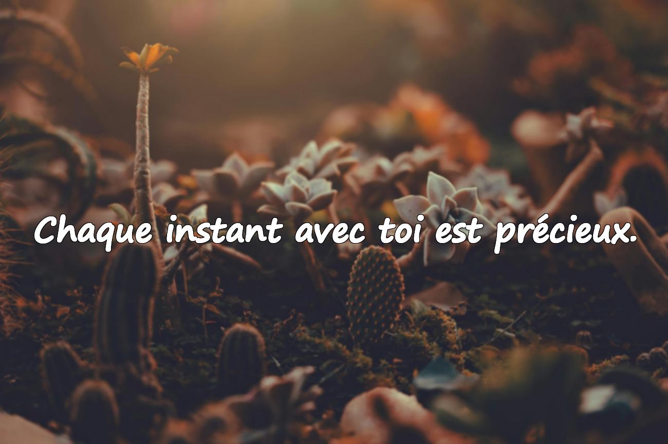 amoureuse citation