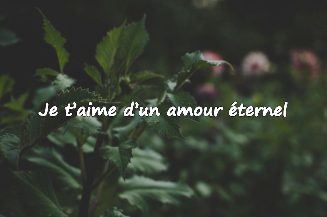 amoureuse citation
