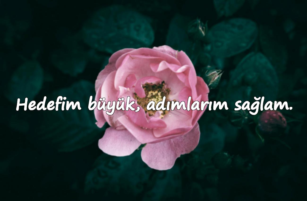 anlamlı biyografi sözleri