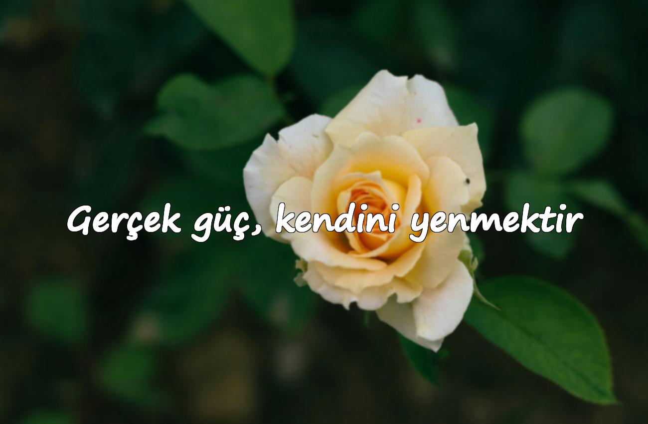 anlamlı kısa sözler