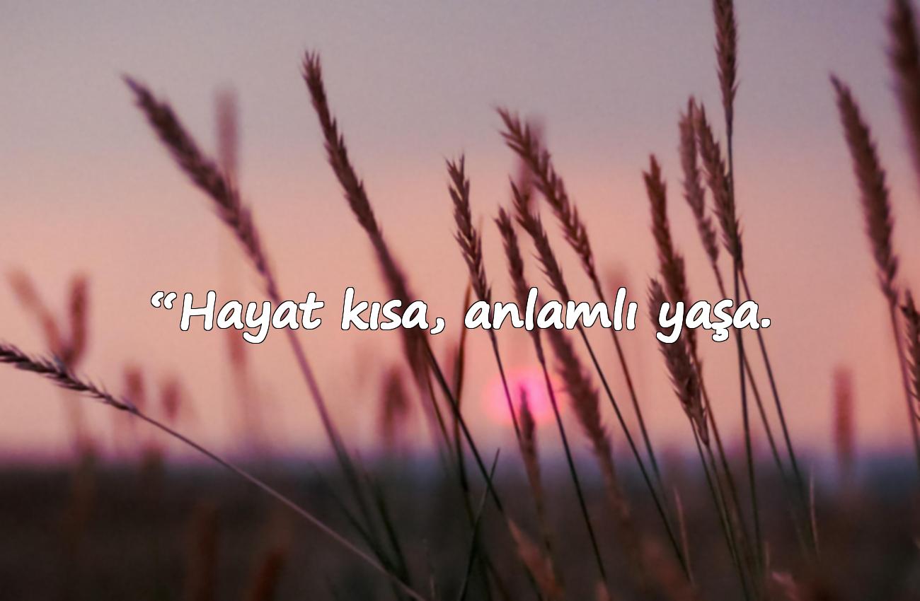 anlamli sozler