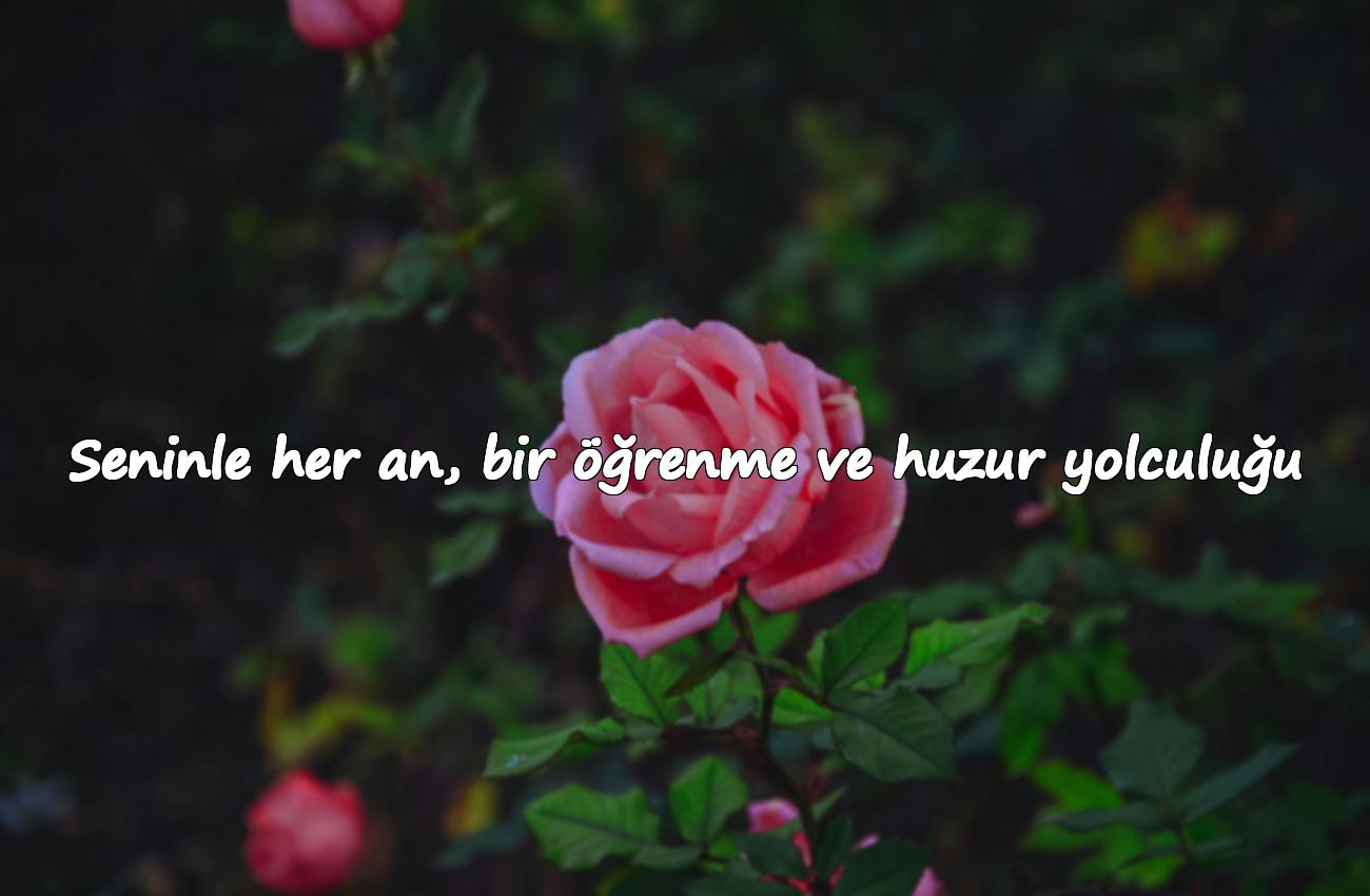 anne için güzel sözler