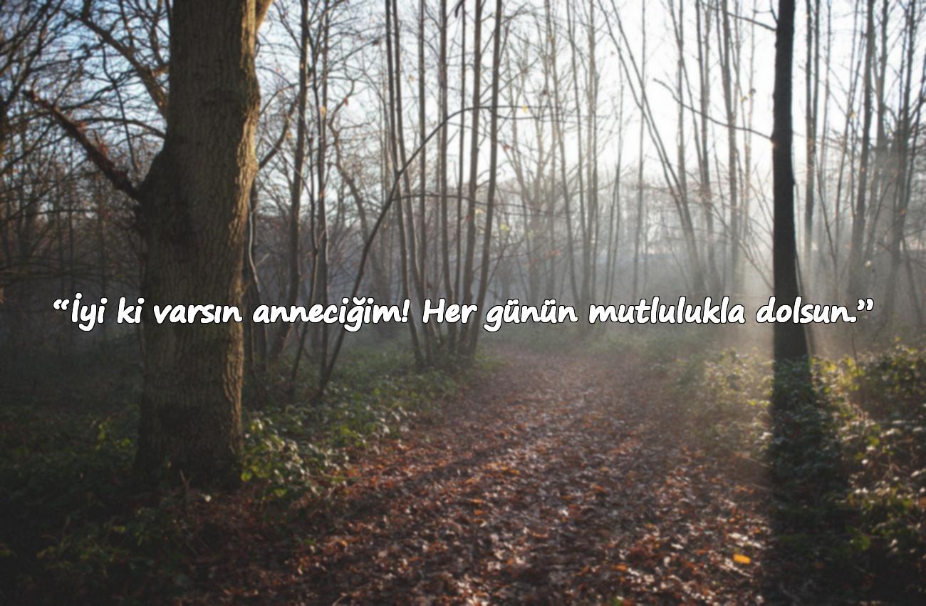 anneye doğum günü mesajı