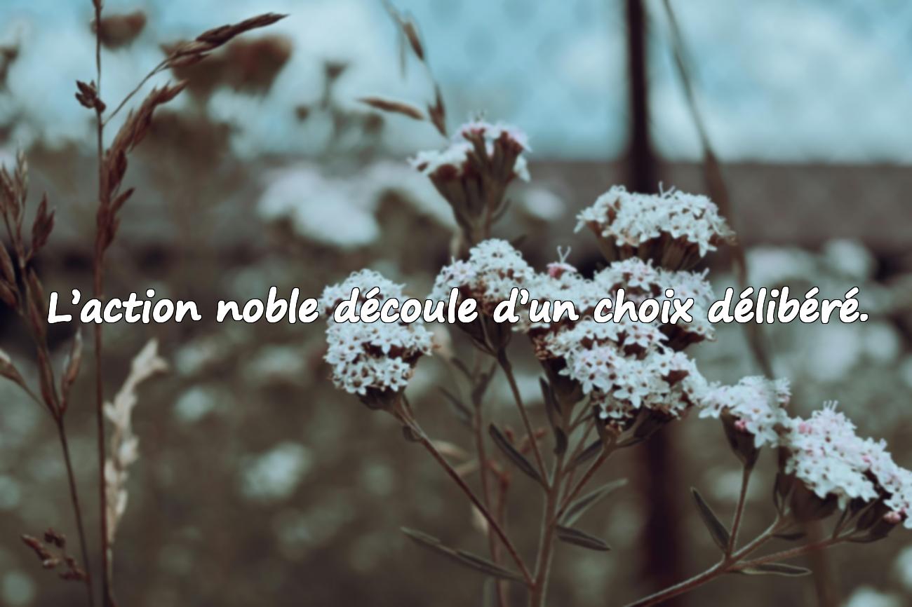aristote citation