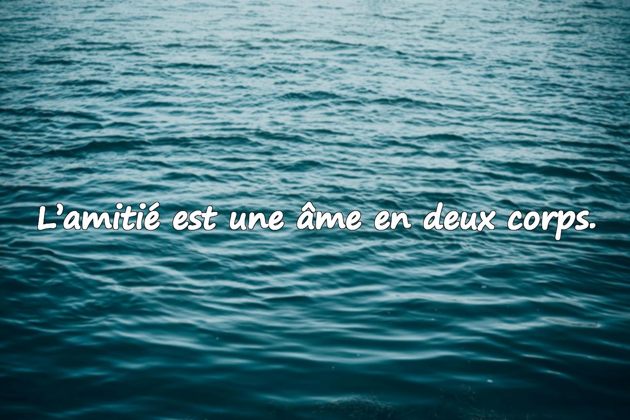 aristote citation