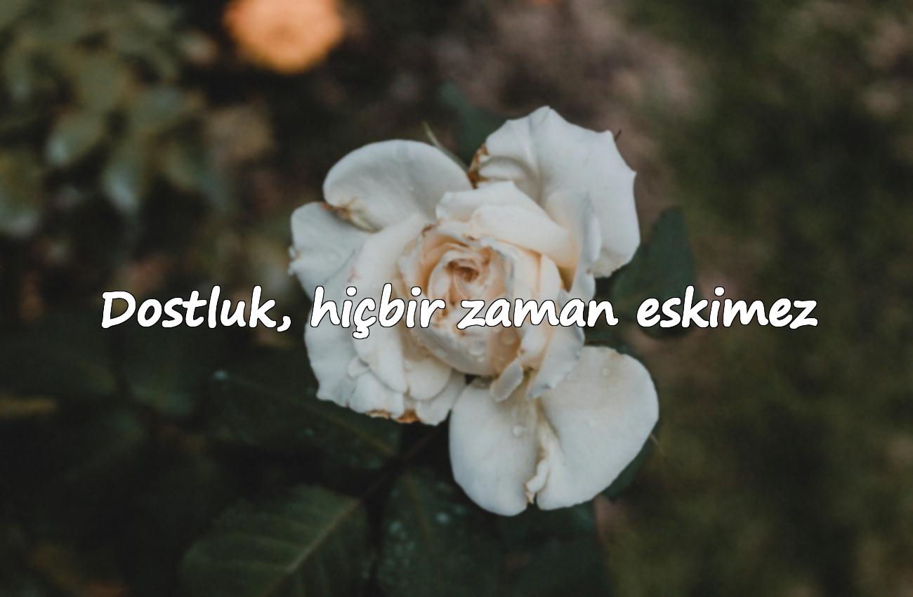 arkadaş ile ilgili sözler