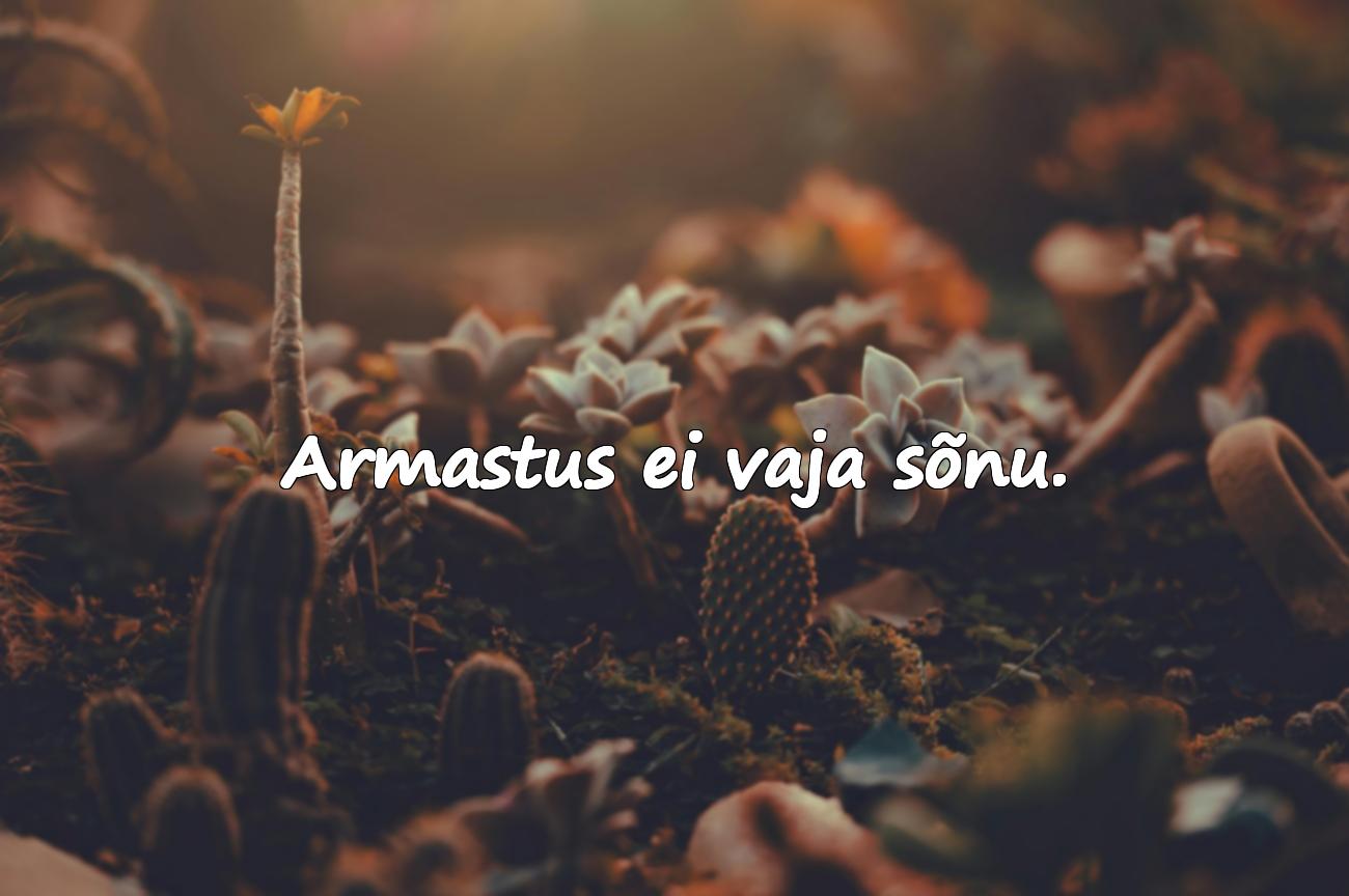 Armastuse sõnad