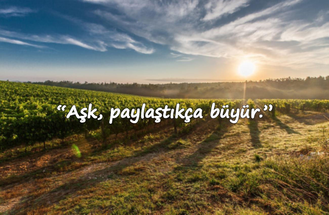 aşk ile ilgili sözler