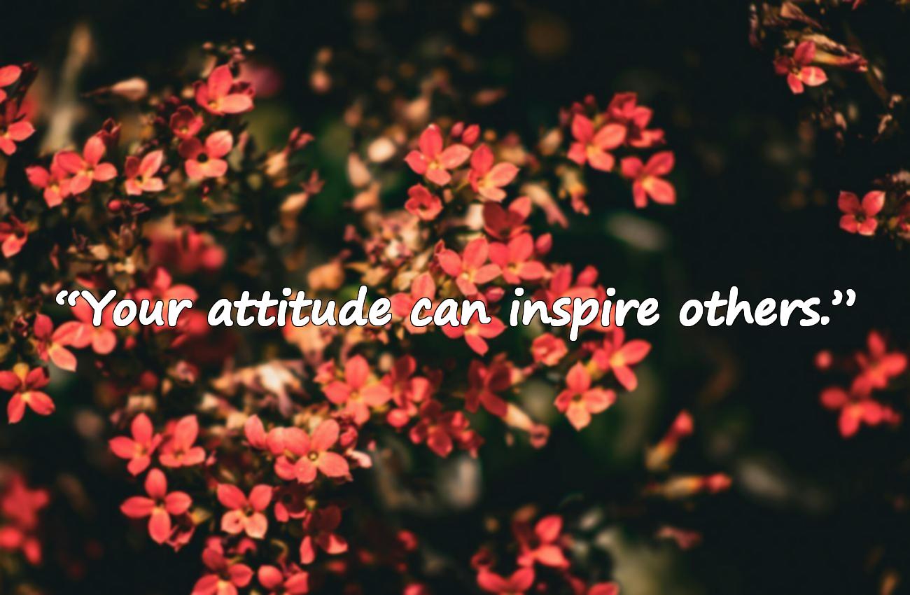 attitude quotes