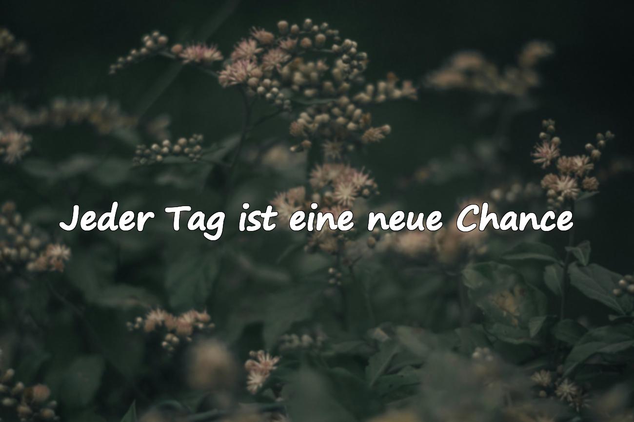 aufmunternde sprüche