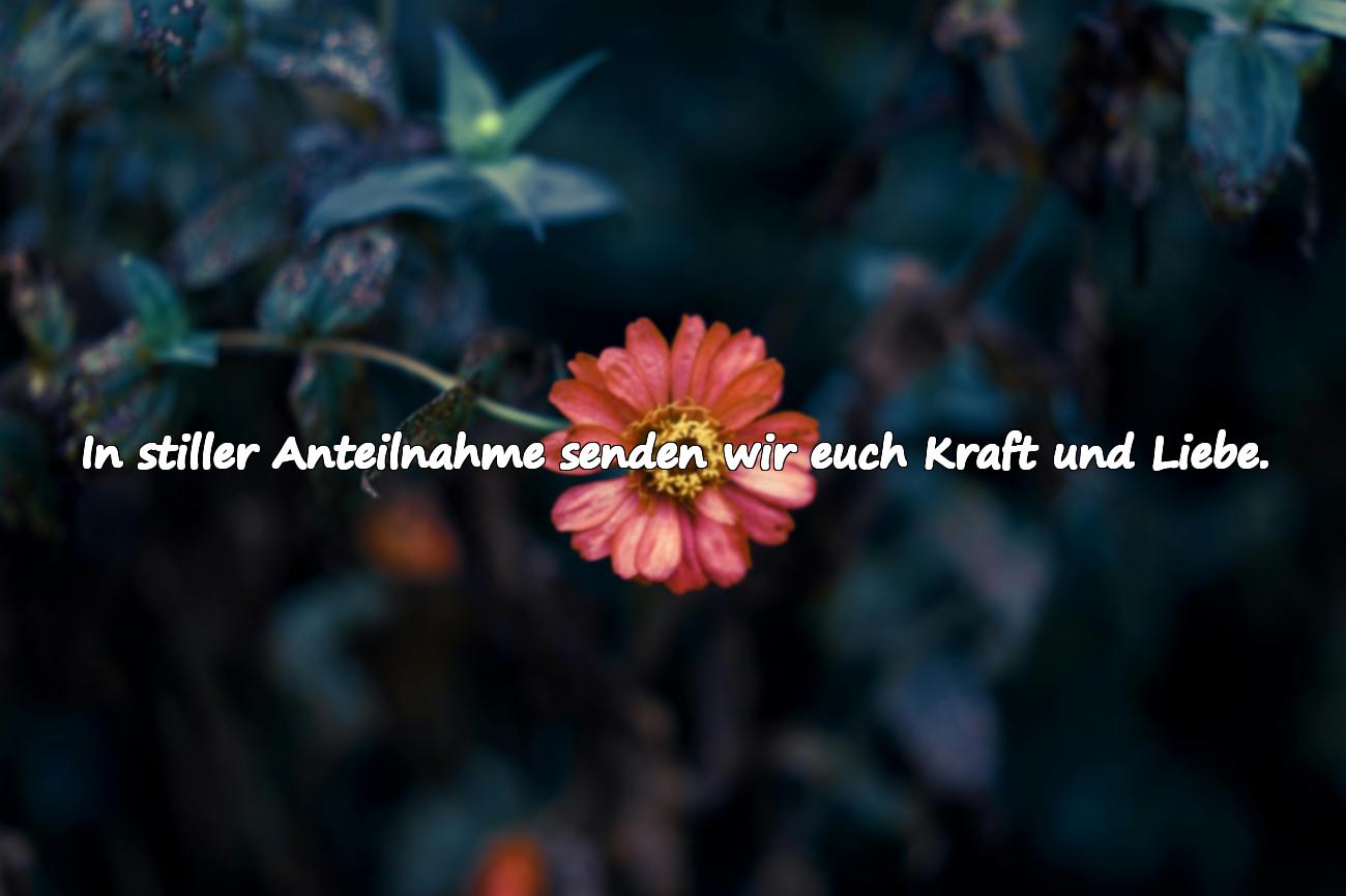 aufrichtige anteilnahme sprüche