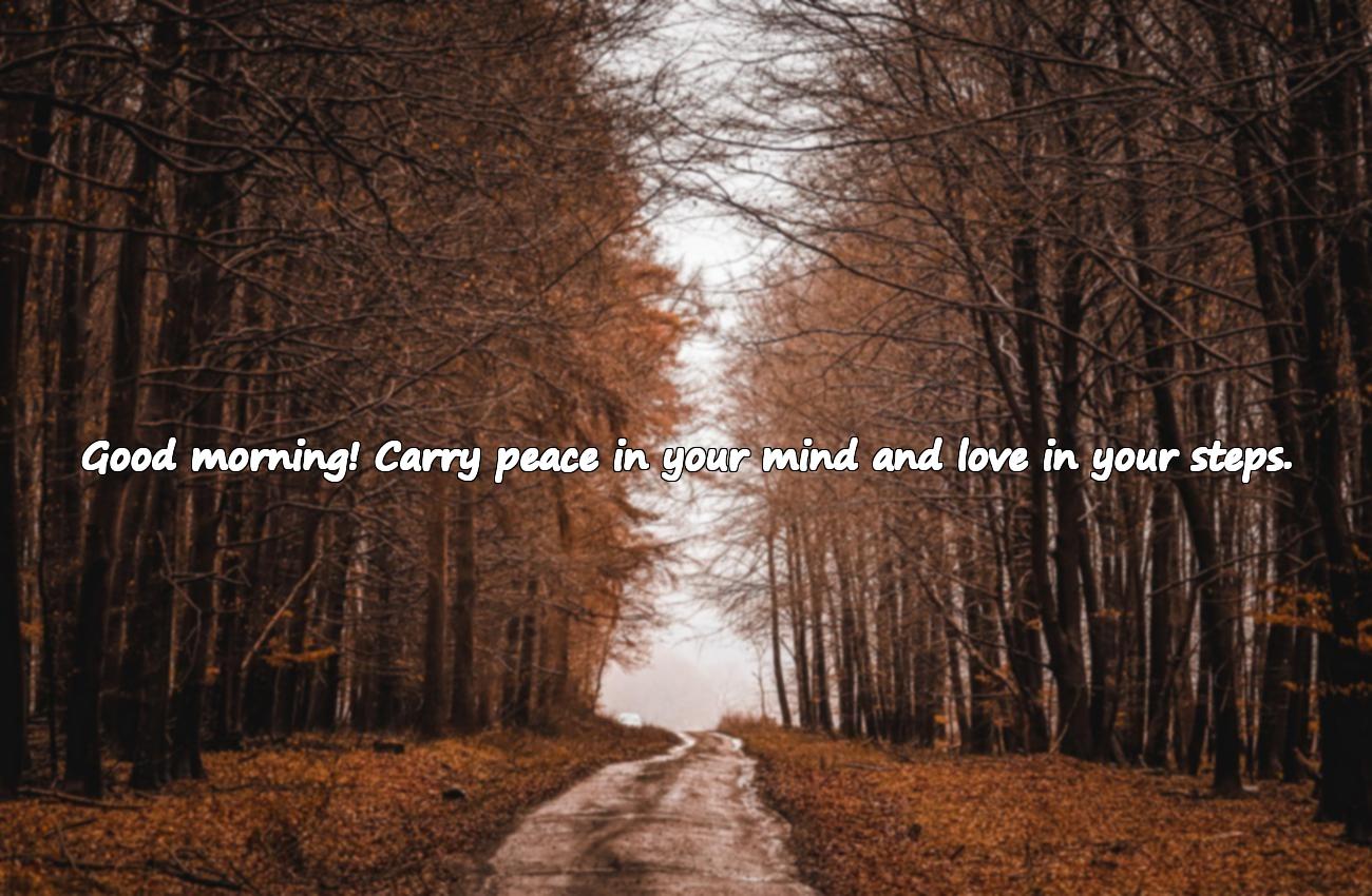 Beautiful Good Morning Quotes