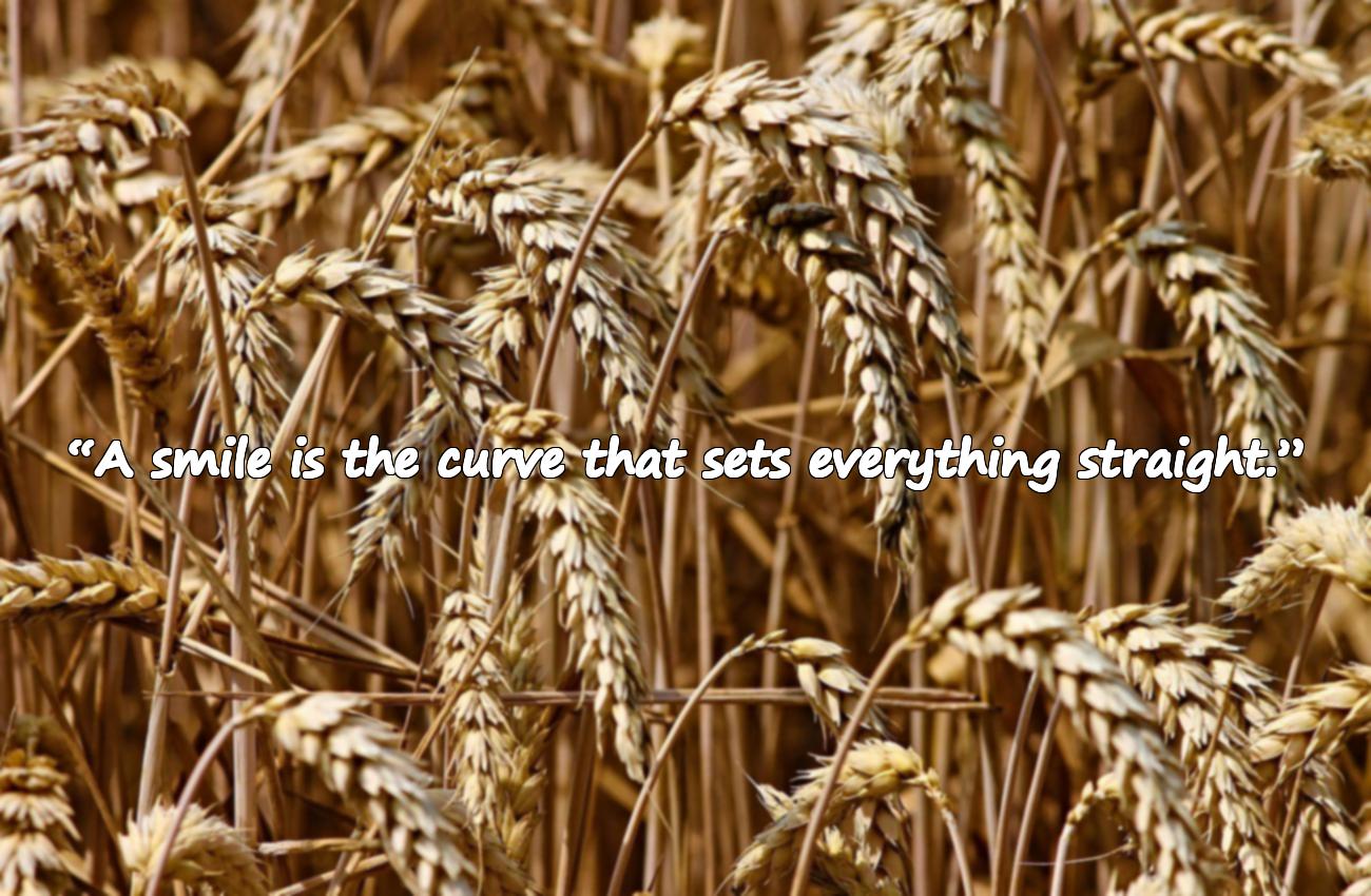 beautiful smile quotes