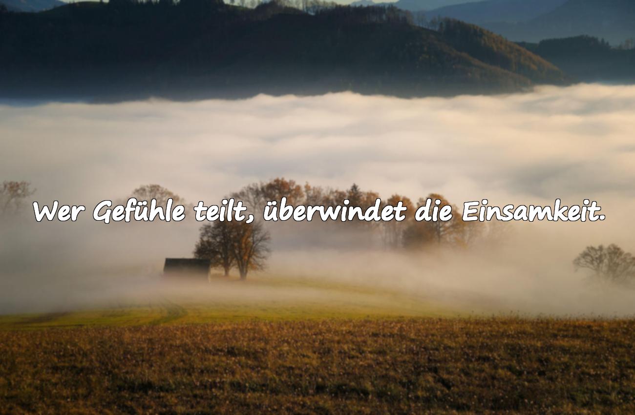 Bedeutungsvolle, schöne Sprüche über Gefühllosigkeit