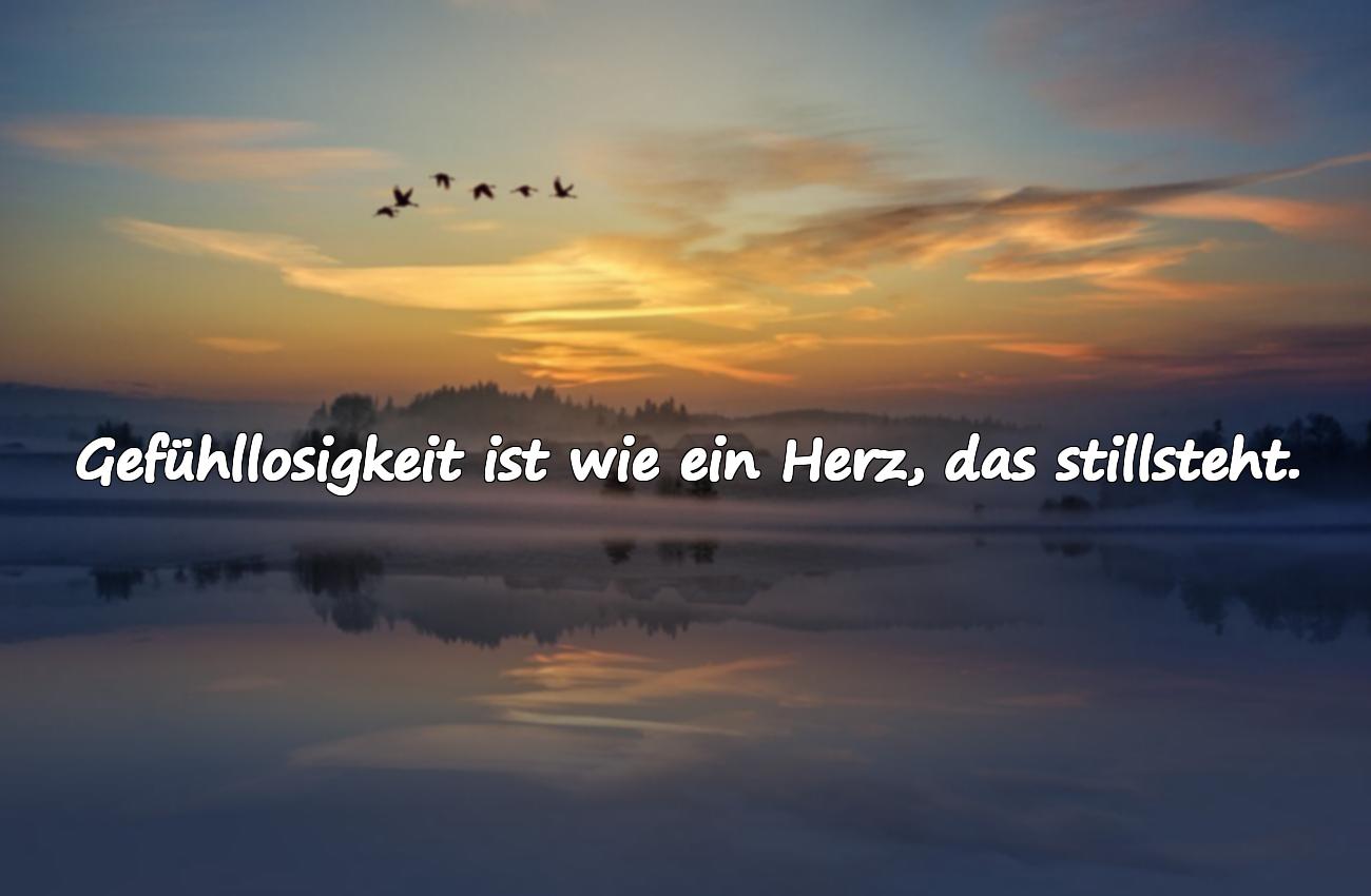 Bedeutungsvolle, schöne Sprüche über Gefühllosigkeit