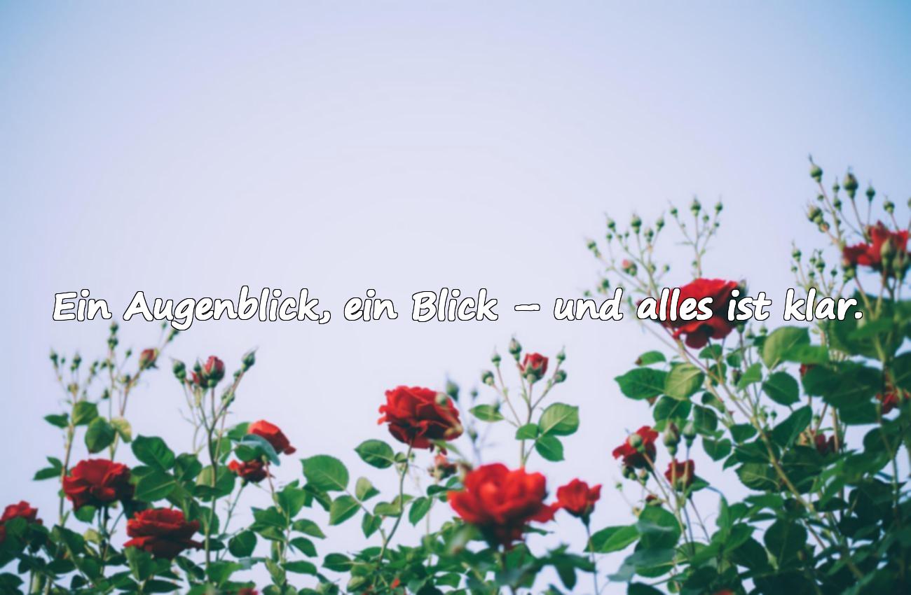 Bedeutungsvolle und schmeichelhafte Sprüche über Blickkontakt