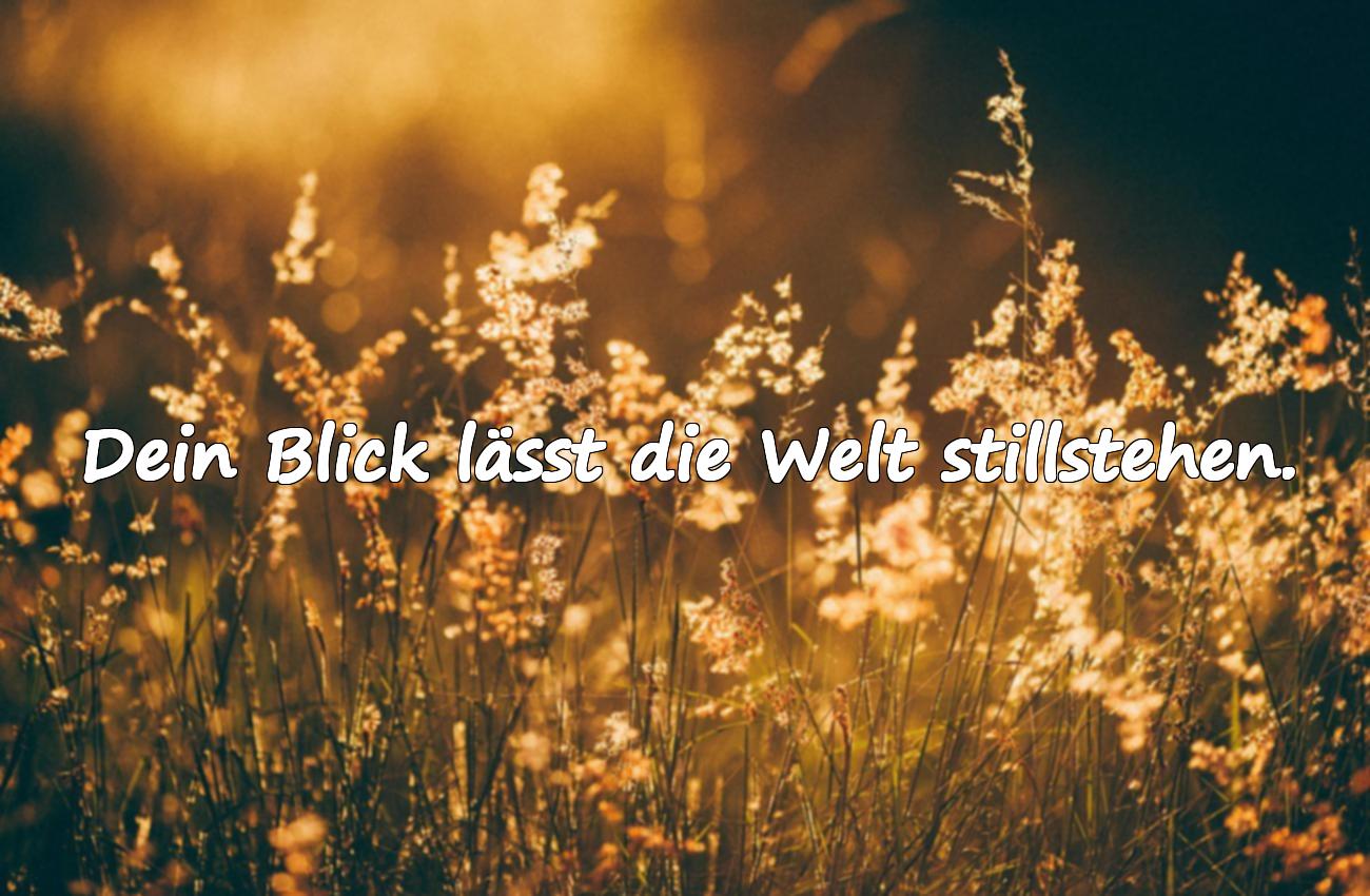 Bedeutungsvolle und schmeichelhafte Sprüche über Blickkontakt