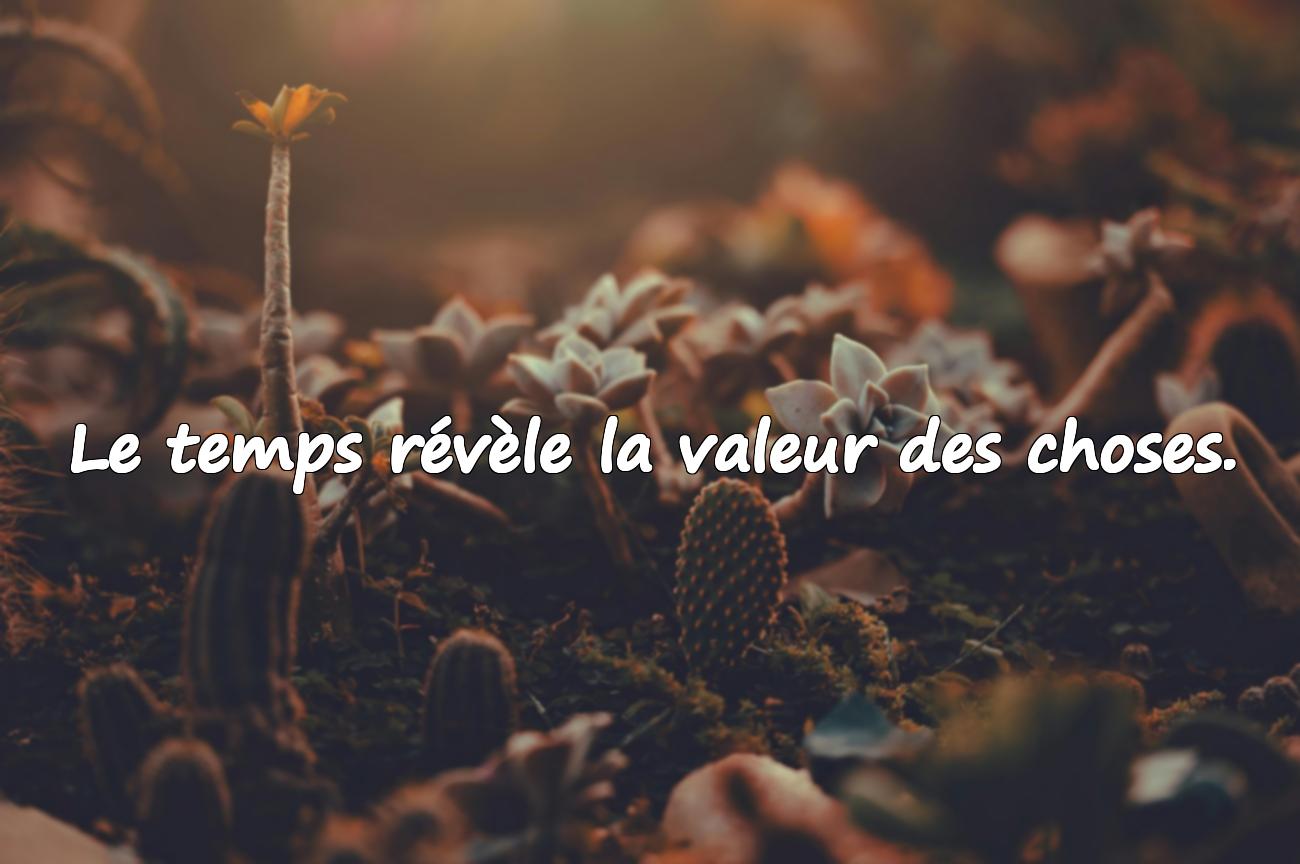 belle citation