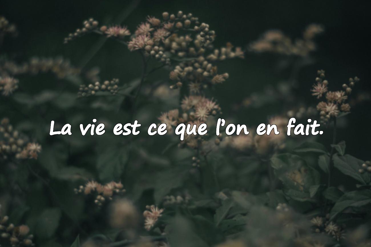 belle citation sur la vie