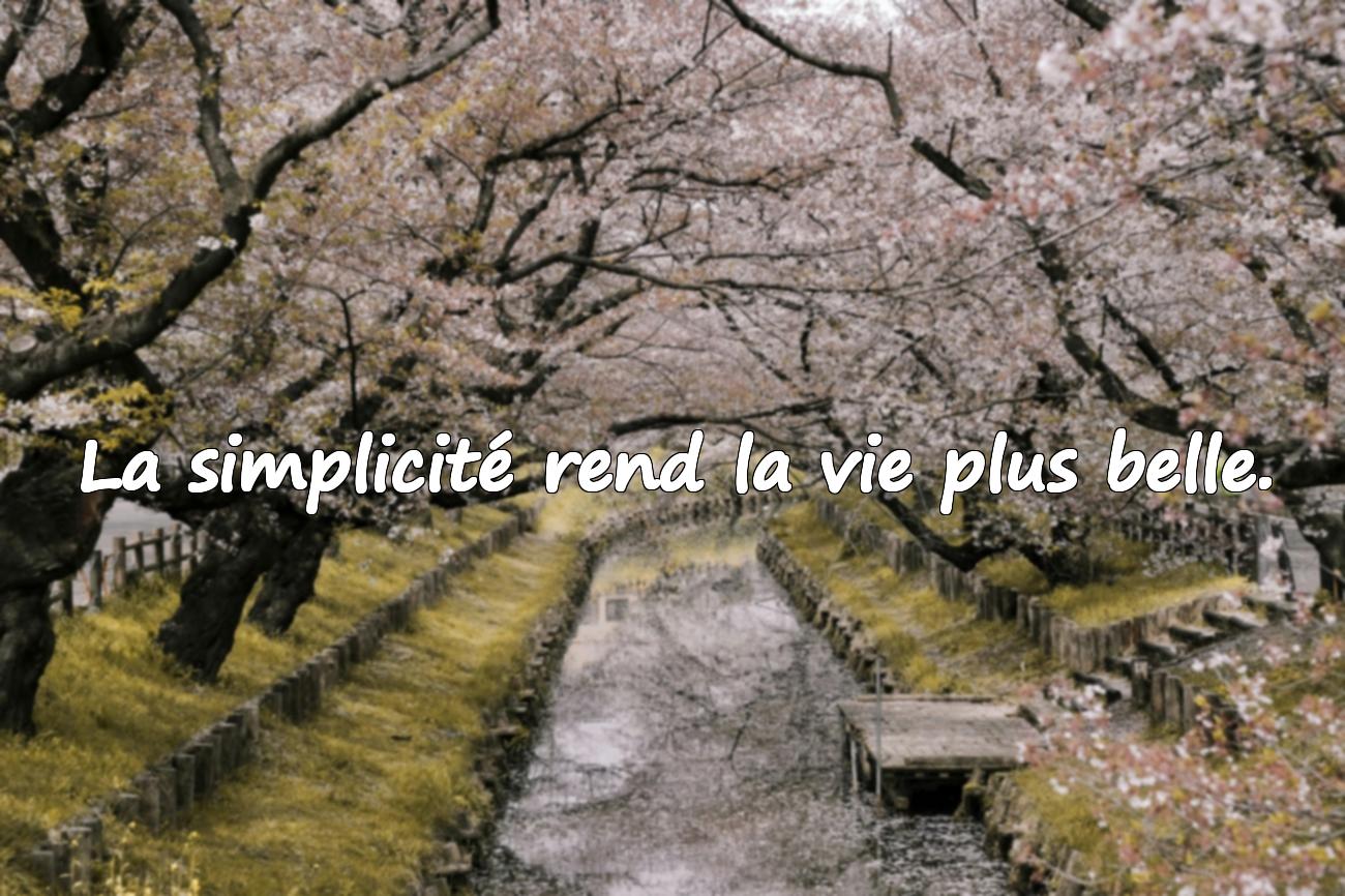 belle citation sur la vie