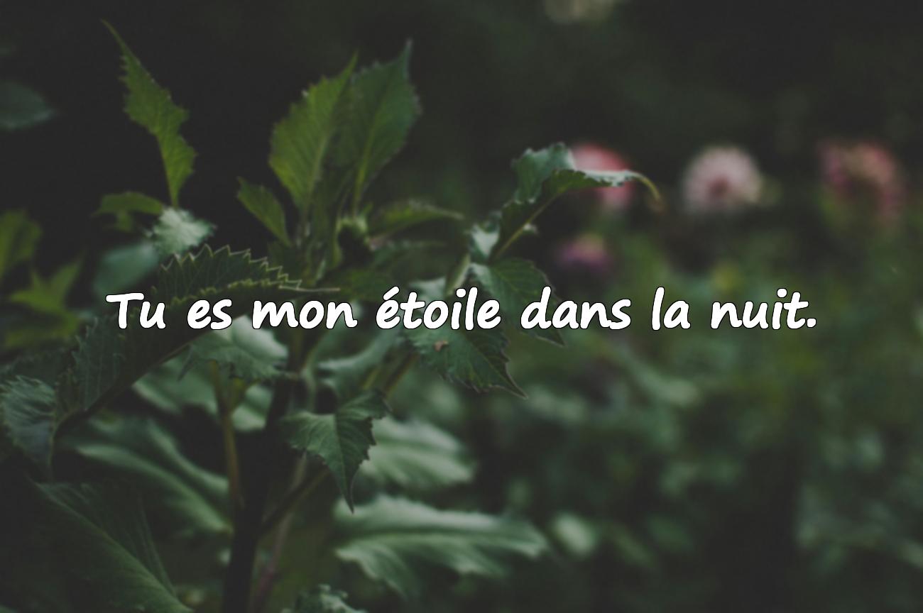 belle phrase pour une femme