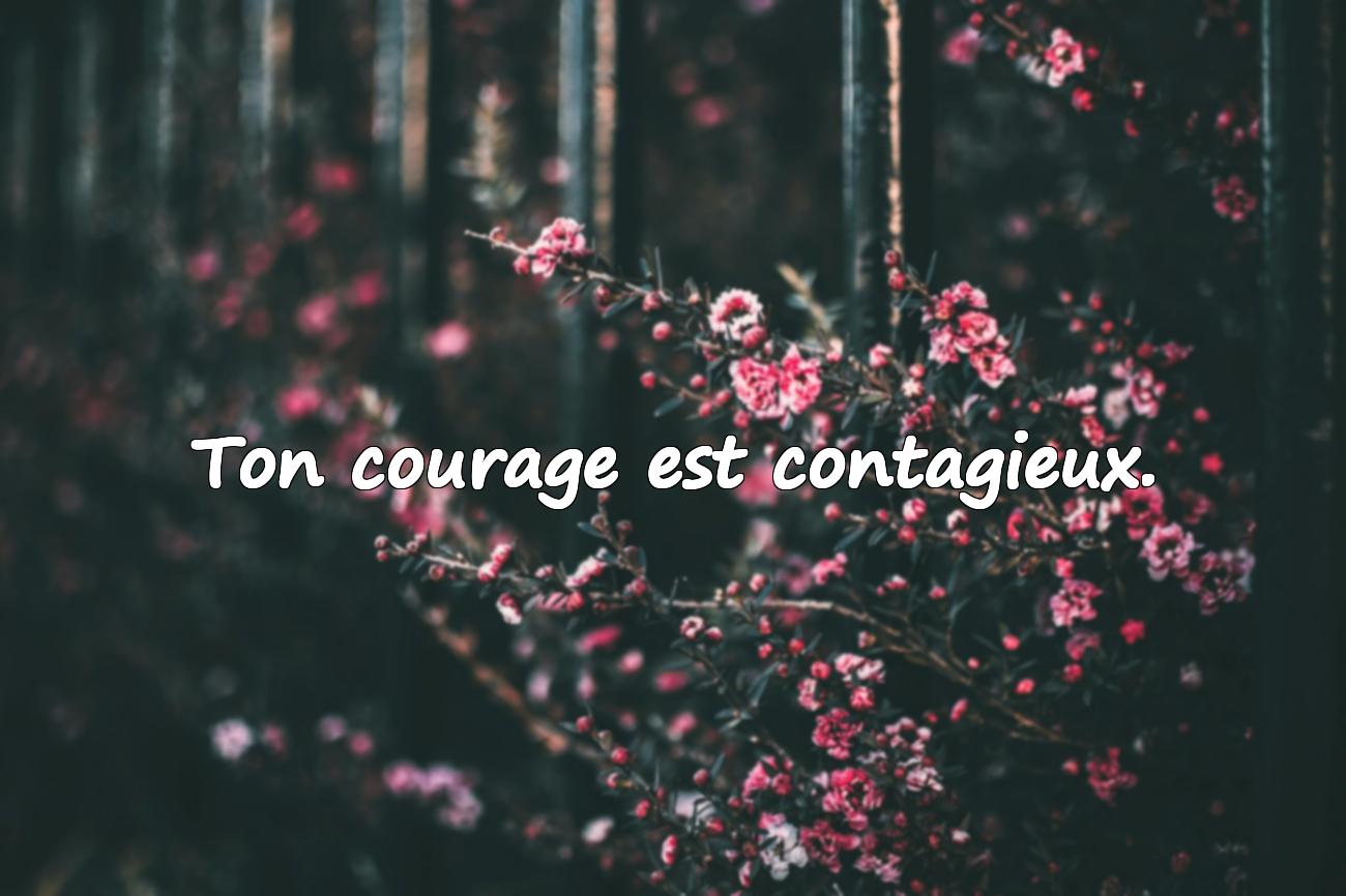 belle phrase pour une femme