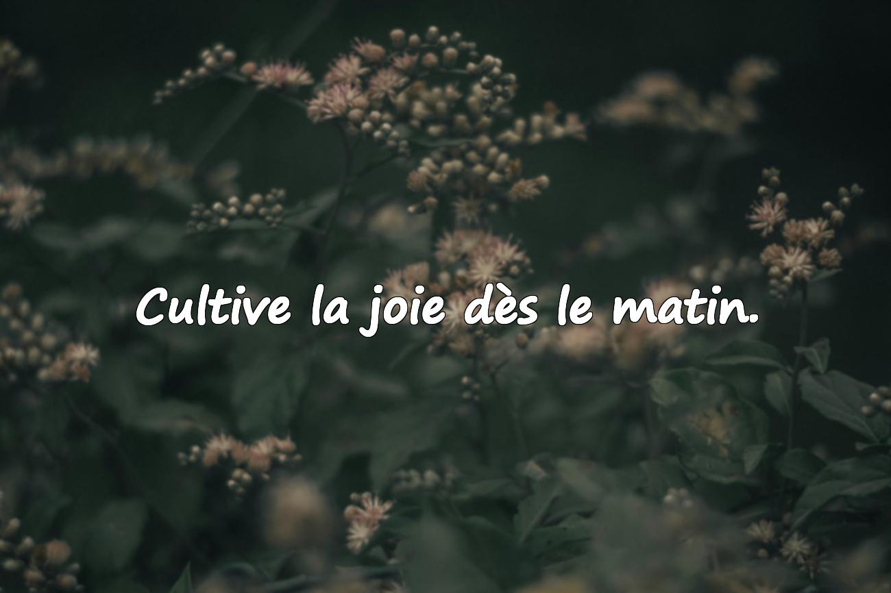 Belles Citations pour une Belle Journée