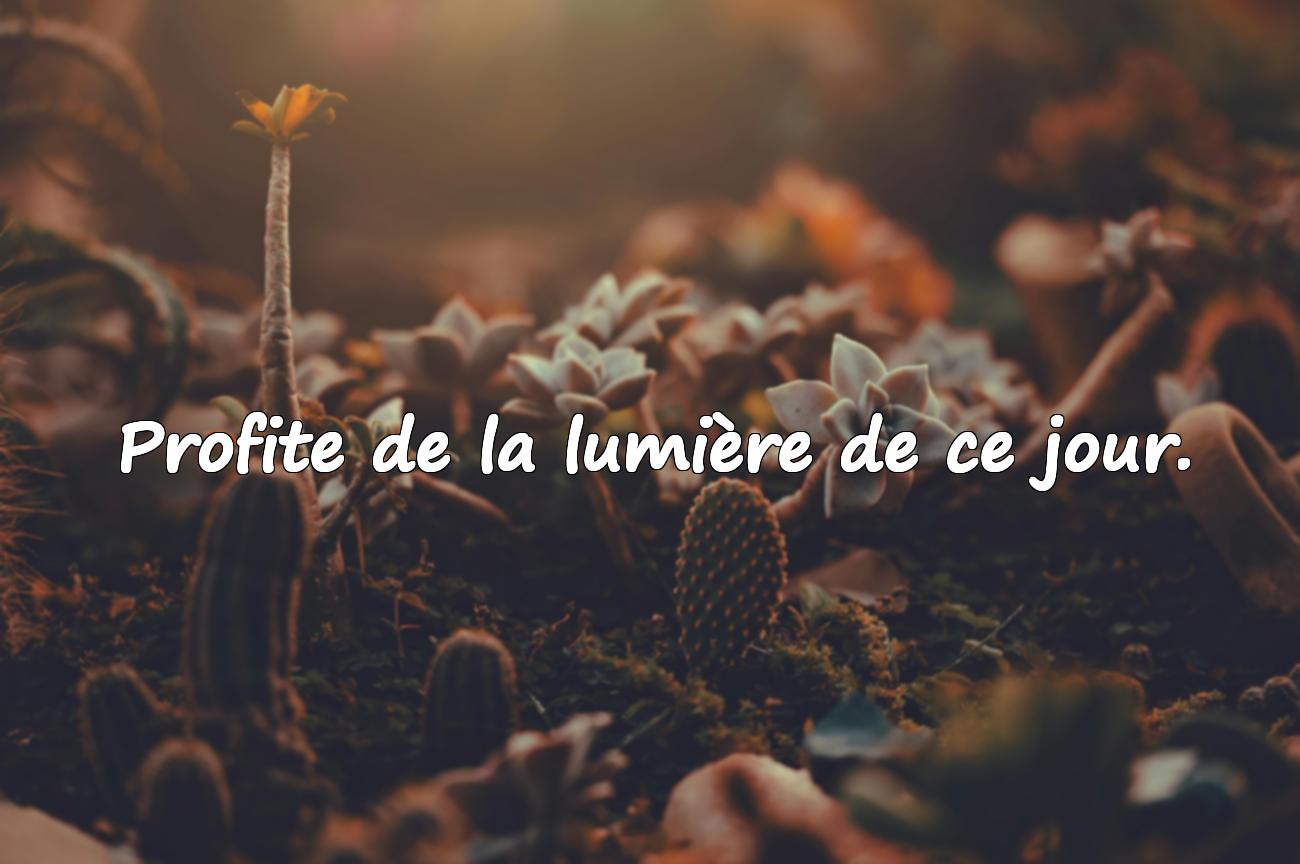 Belles Citations pour une Belle Journée