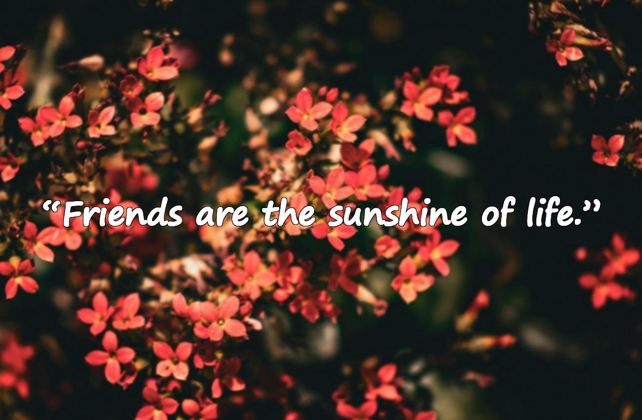 best friend quotes en