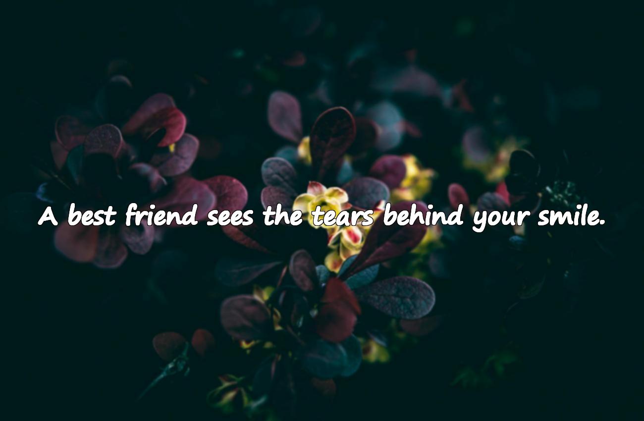 best friend quotes
