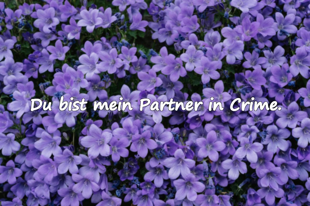 best friends sprüche