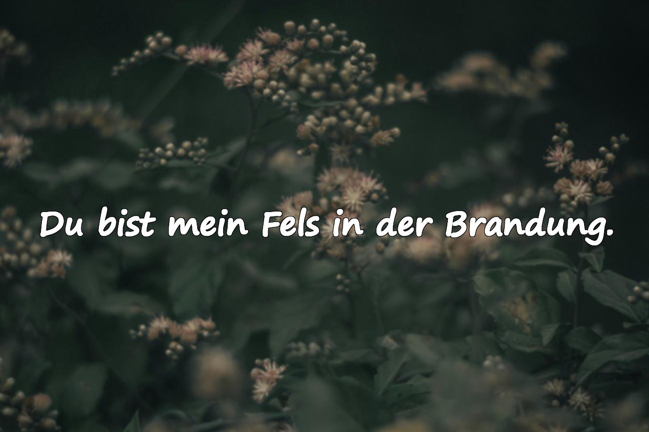 best friends sprüche