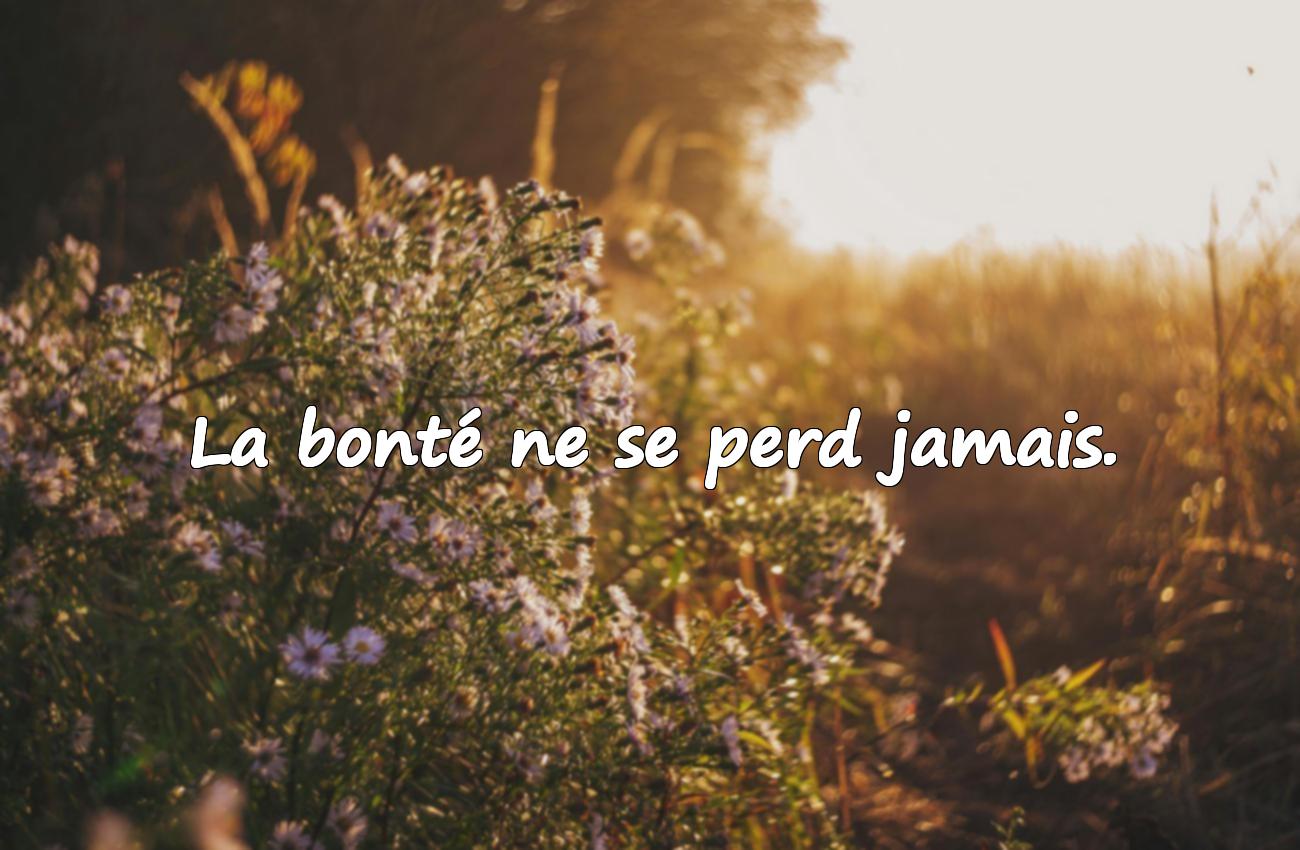 bienveillance citation