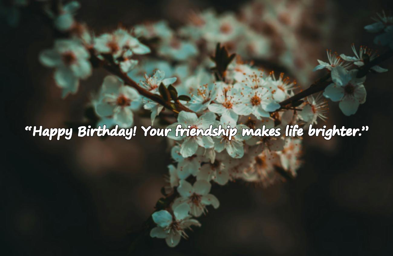 birthday wishes for friend