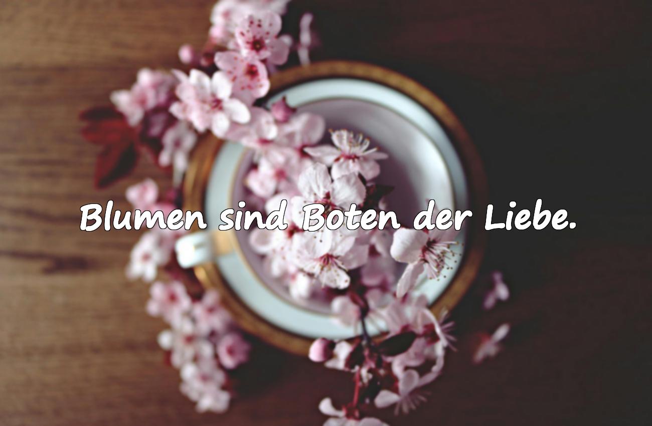 blumen spruch