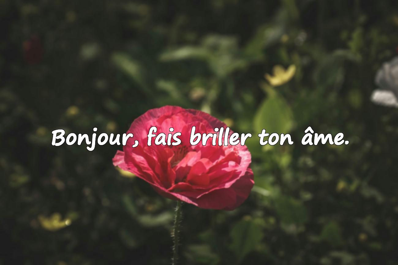 bonjour citation