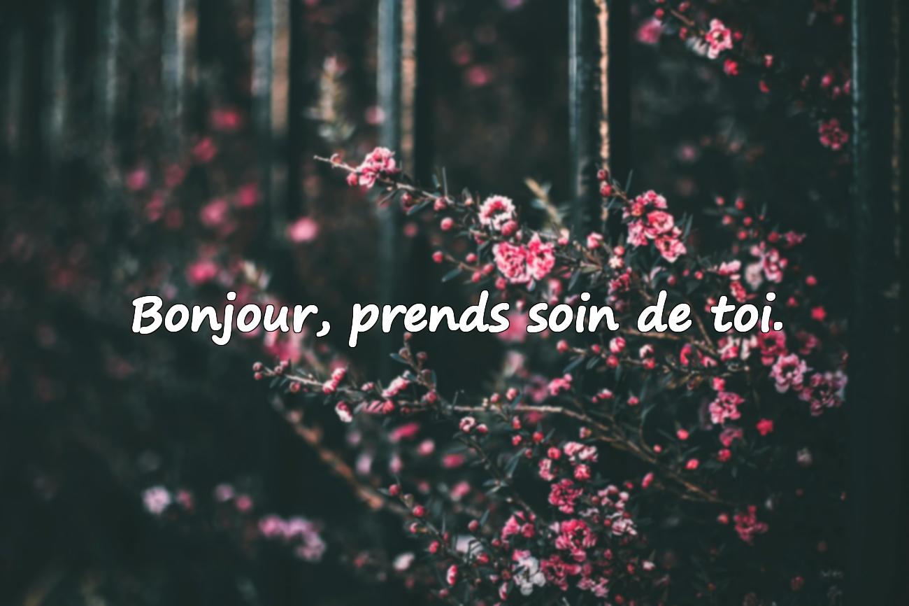 bonjour citation
