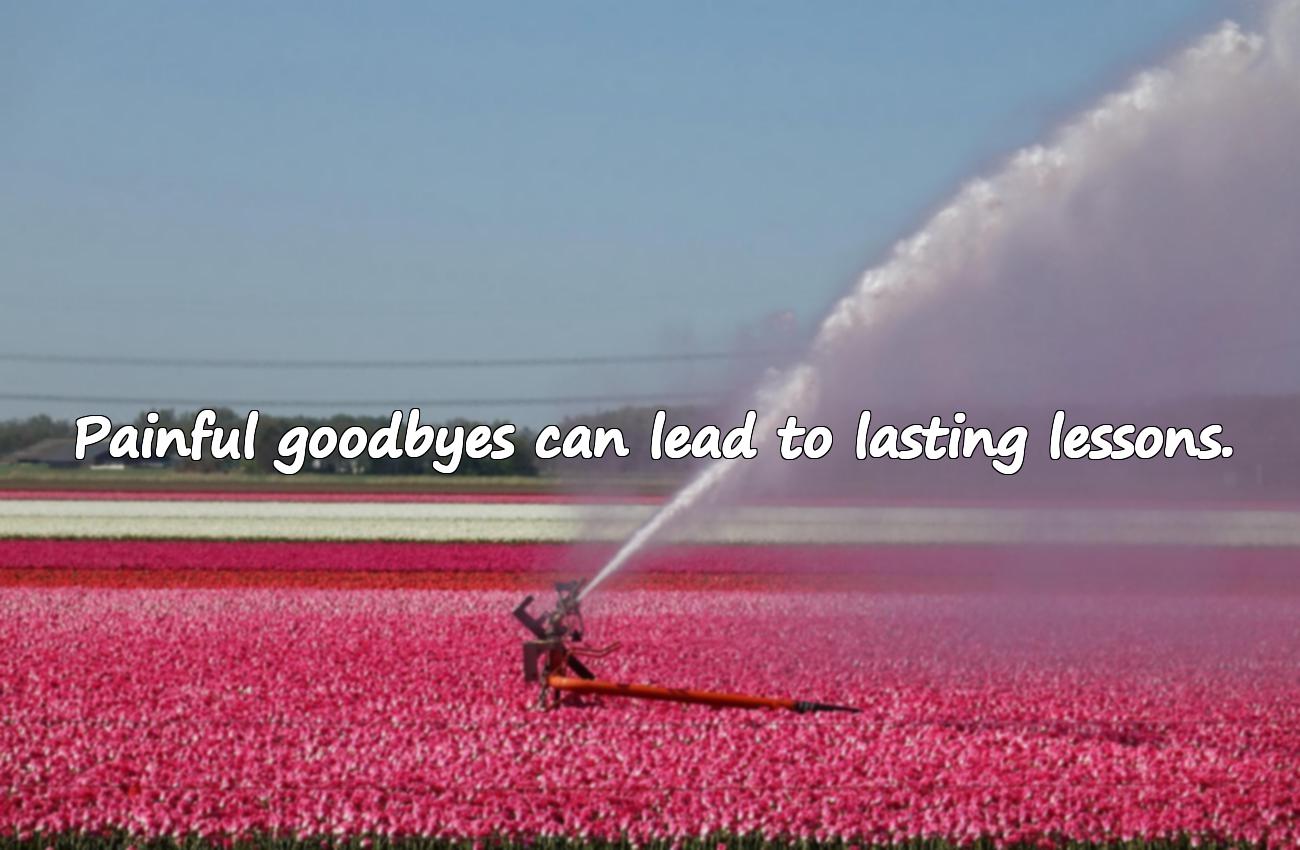 breakup friendship quotes