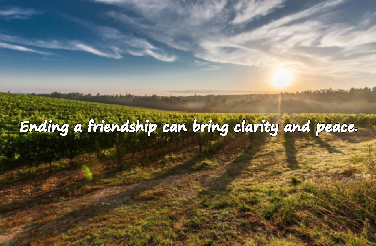 breakup friendship quotes