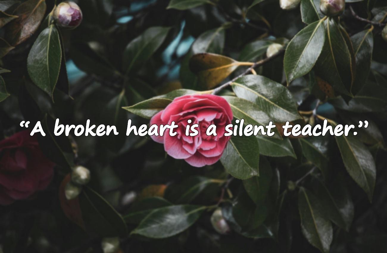 broken heart quotes