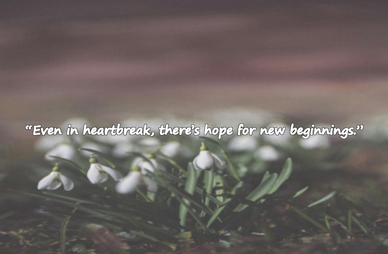 broken hearted quotes