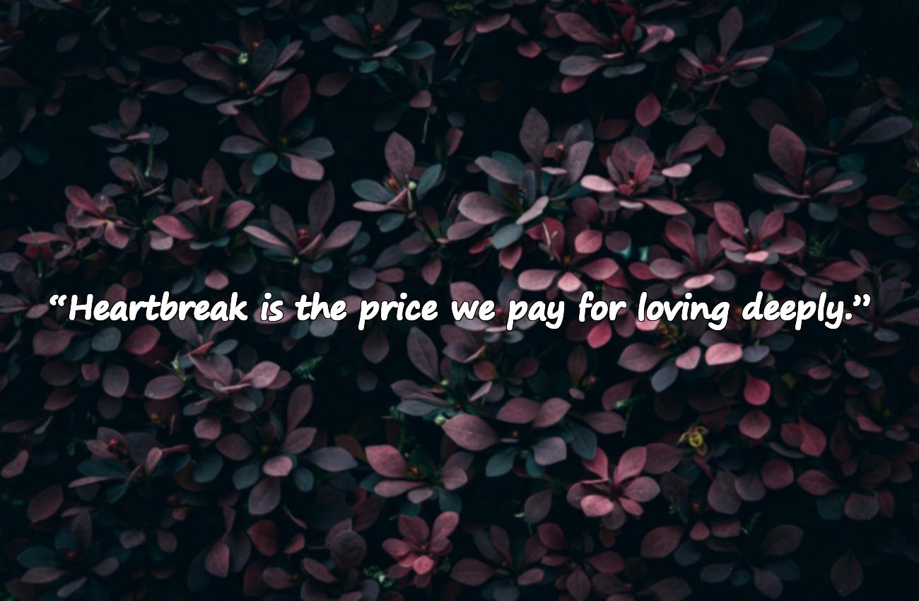 broken hearted quotes