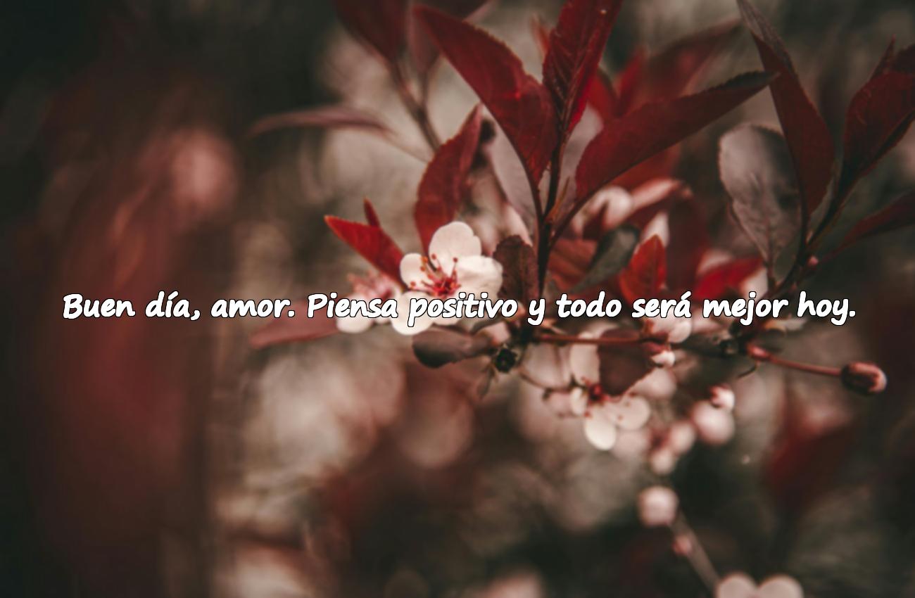 buen día amor