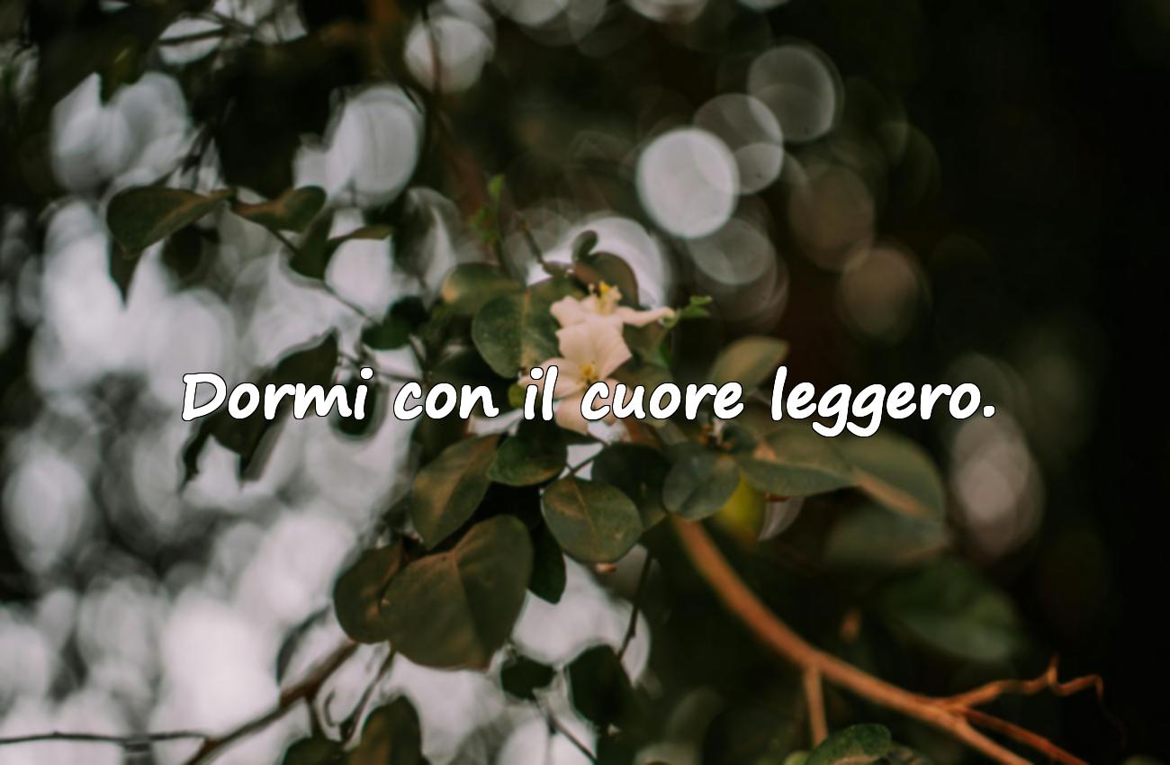 buonanotte frase