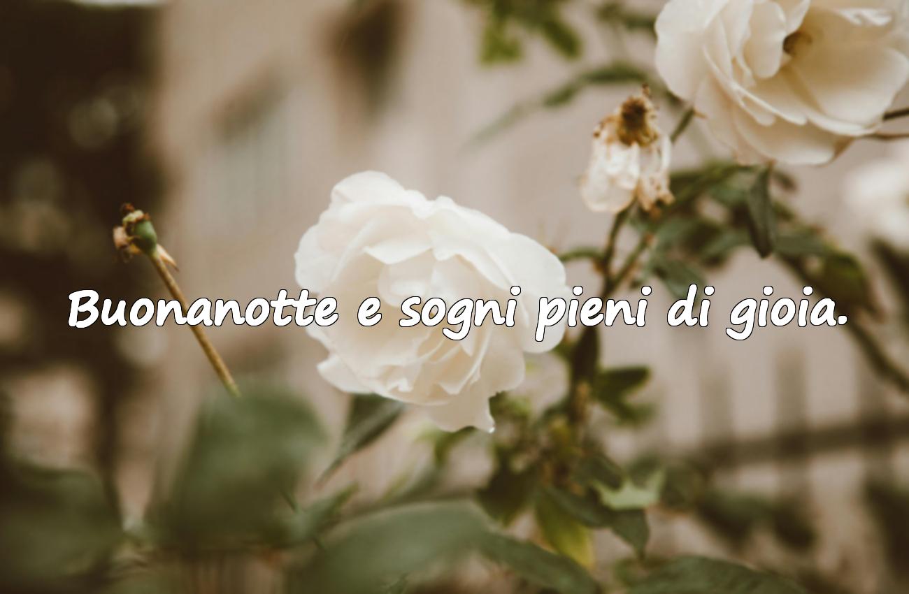 buonanotte frase