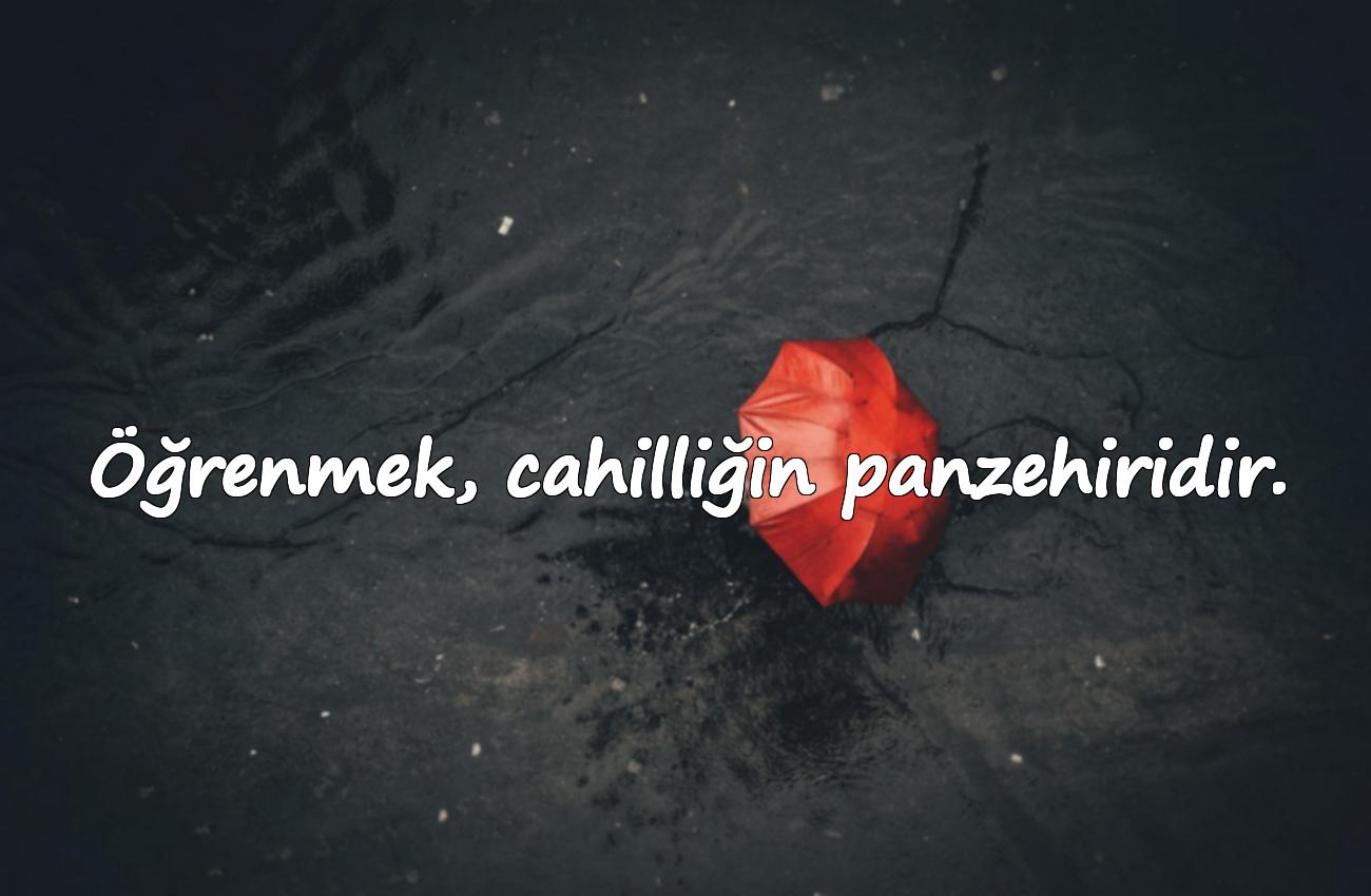 cahillikle ilgili sözler