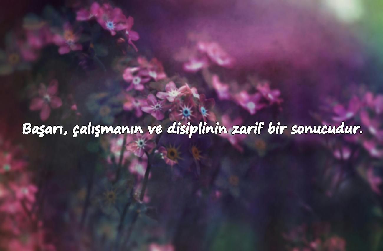 çalışmak ile ilgili sözler