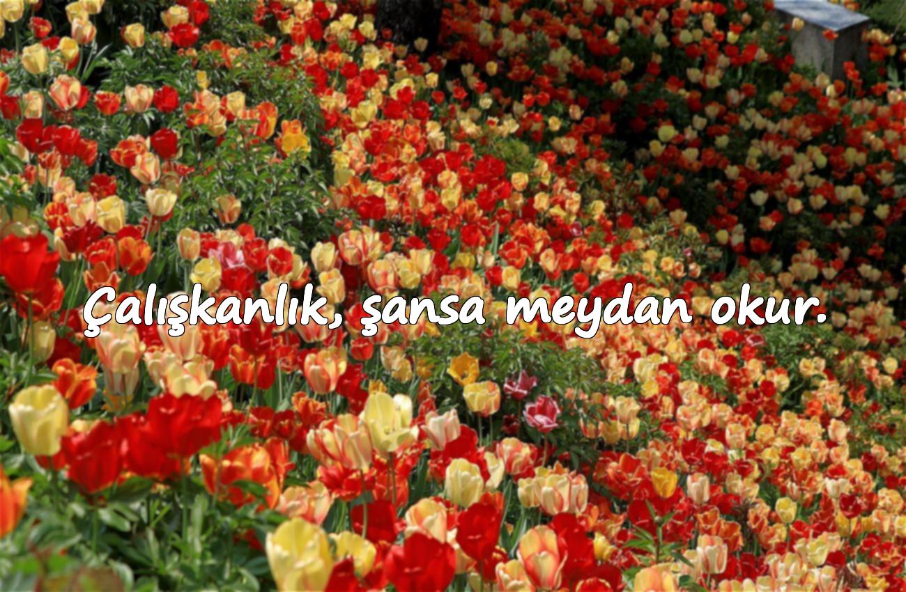 Çalışmak ve Azim ile ilgili sözler