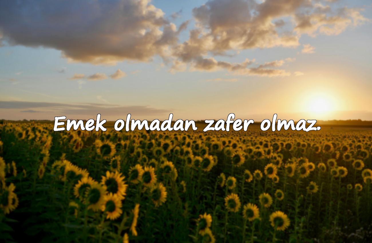 Çalışmak ve Azim ile ilgili sözler