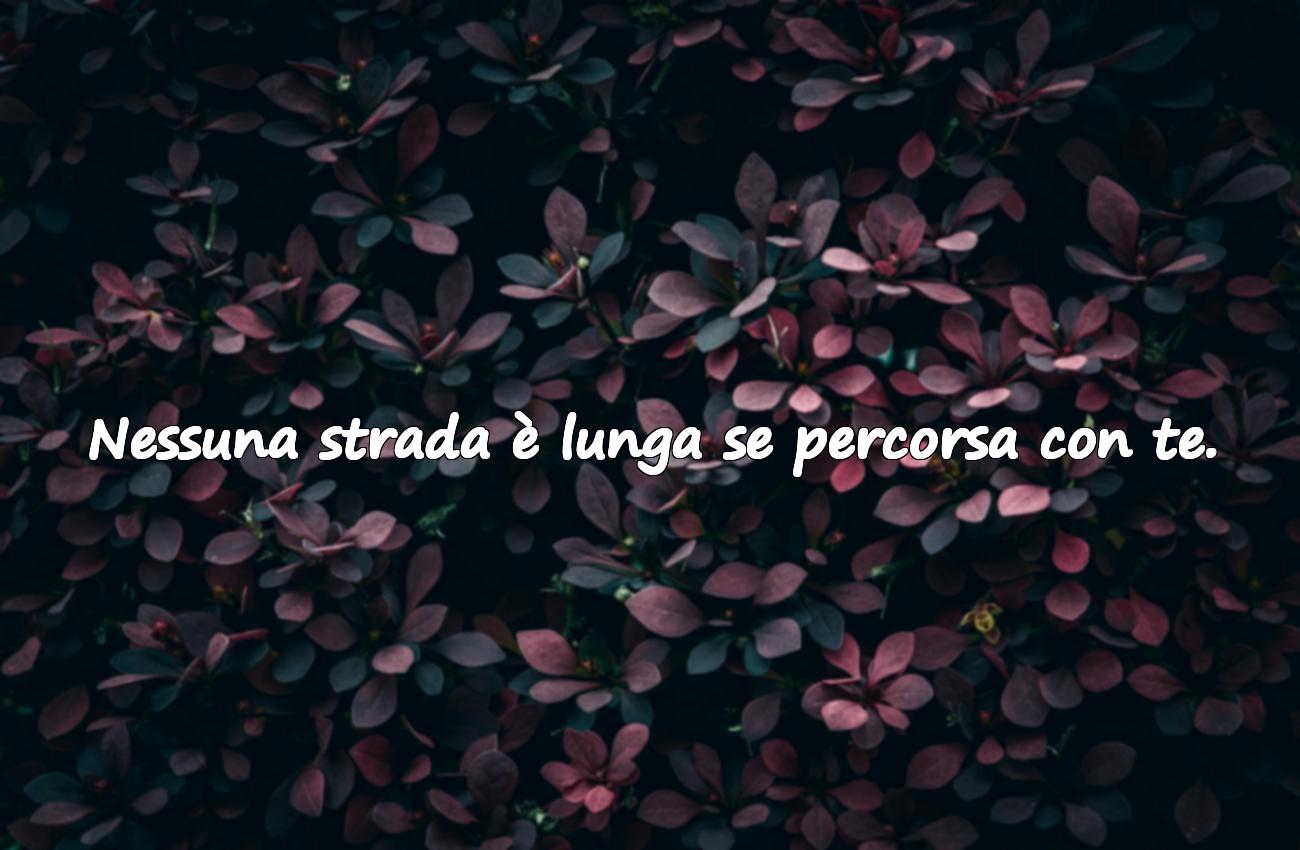 camminare insieme frasi